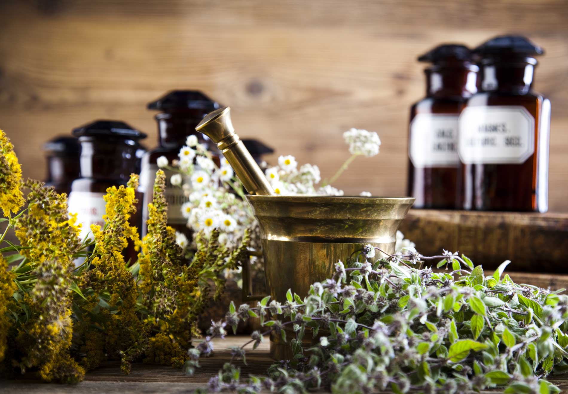 ethno-health-produkte